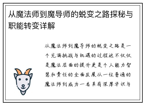 从魔法师到魔导师的蜕变之路探秘与职能转变详解